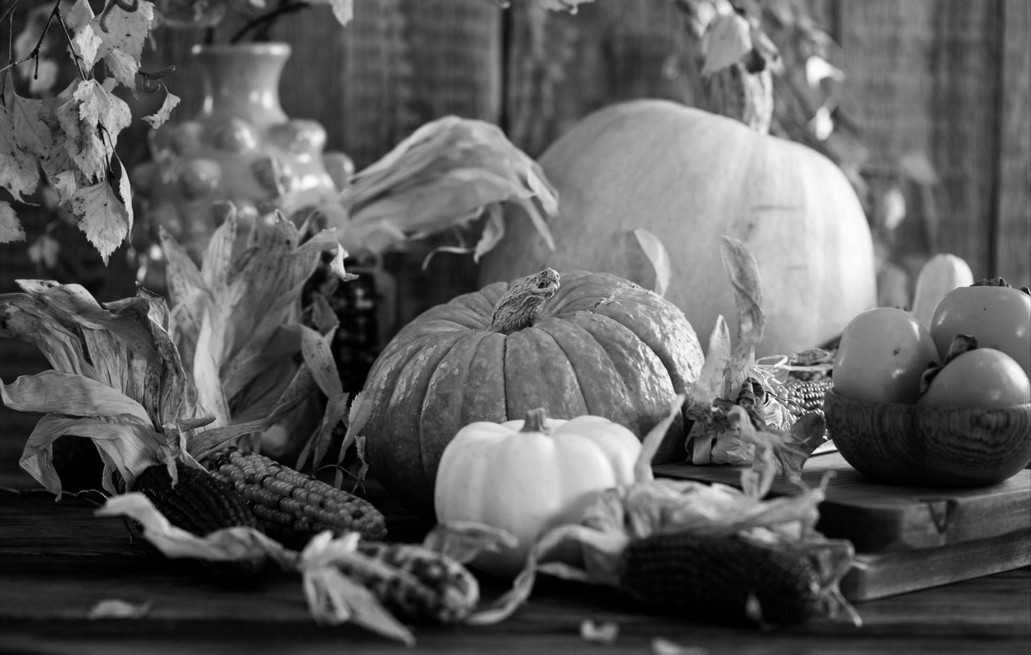 Fall Collection